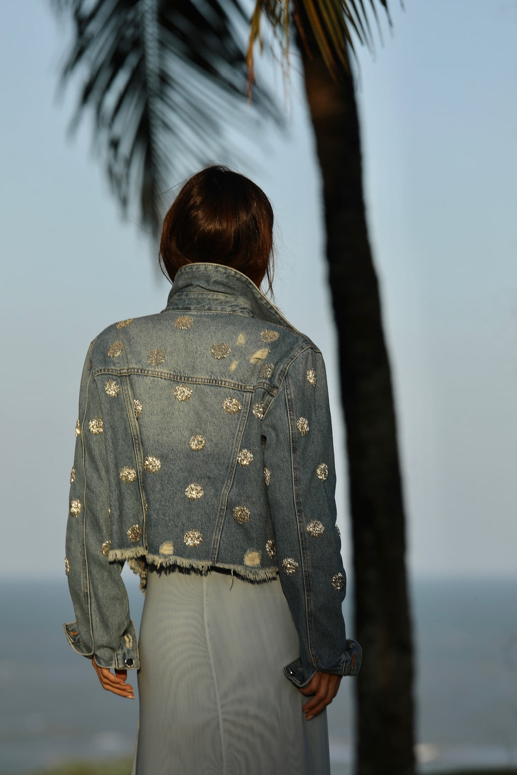 Jaqueta Jeans Bordada Em Mini Poás