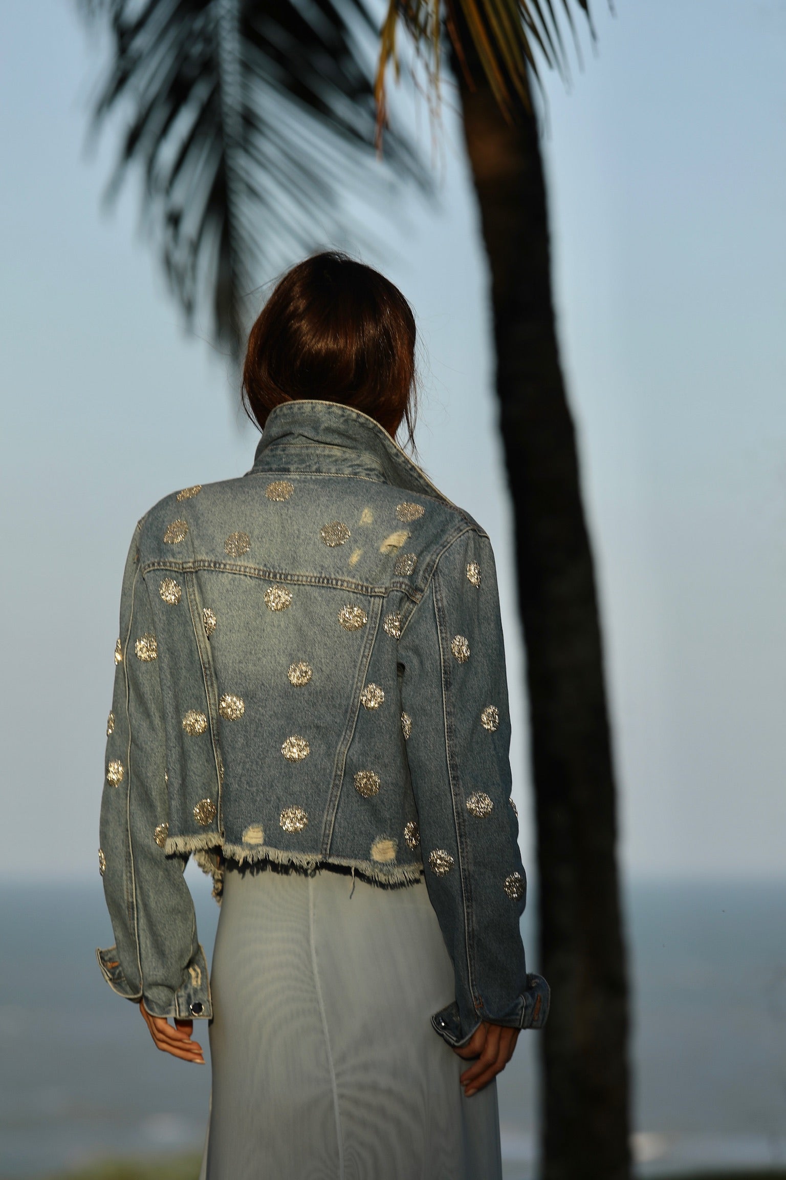 Jaqueta Jeans Bordada Em Mini Poás