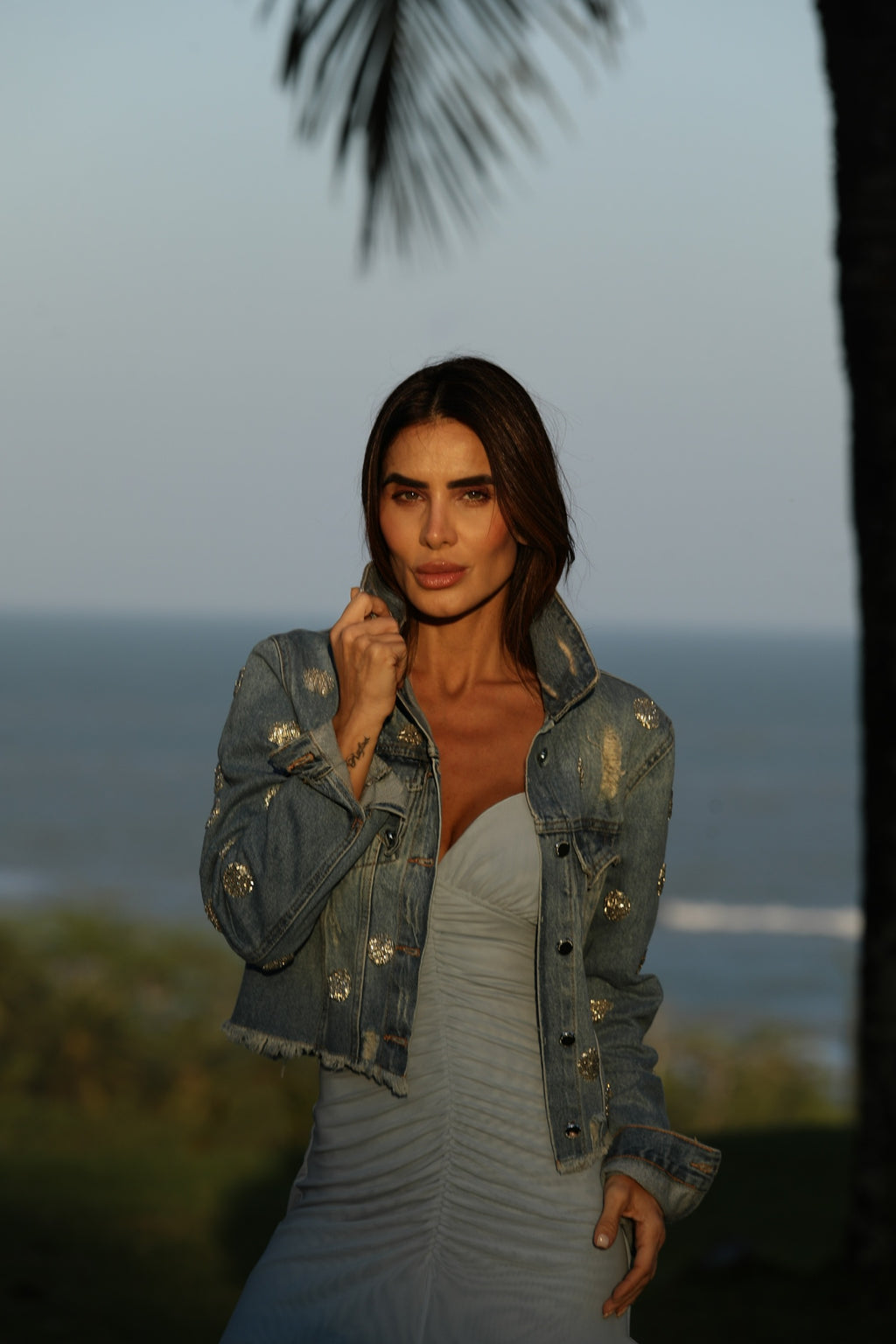 Jaqueta Jeans Bordada Em Mini Poás