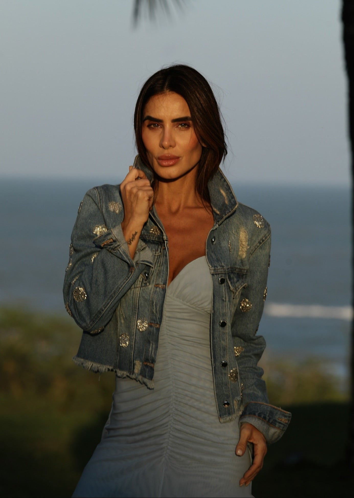 Jaqueta Jeans Bordada Em Mini Poás