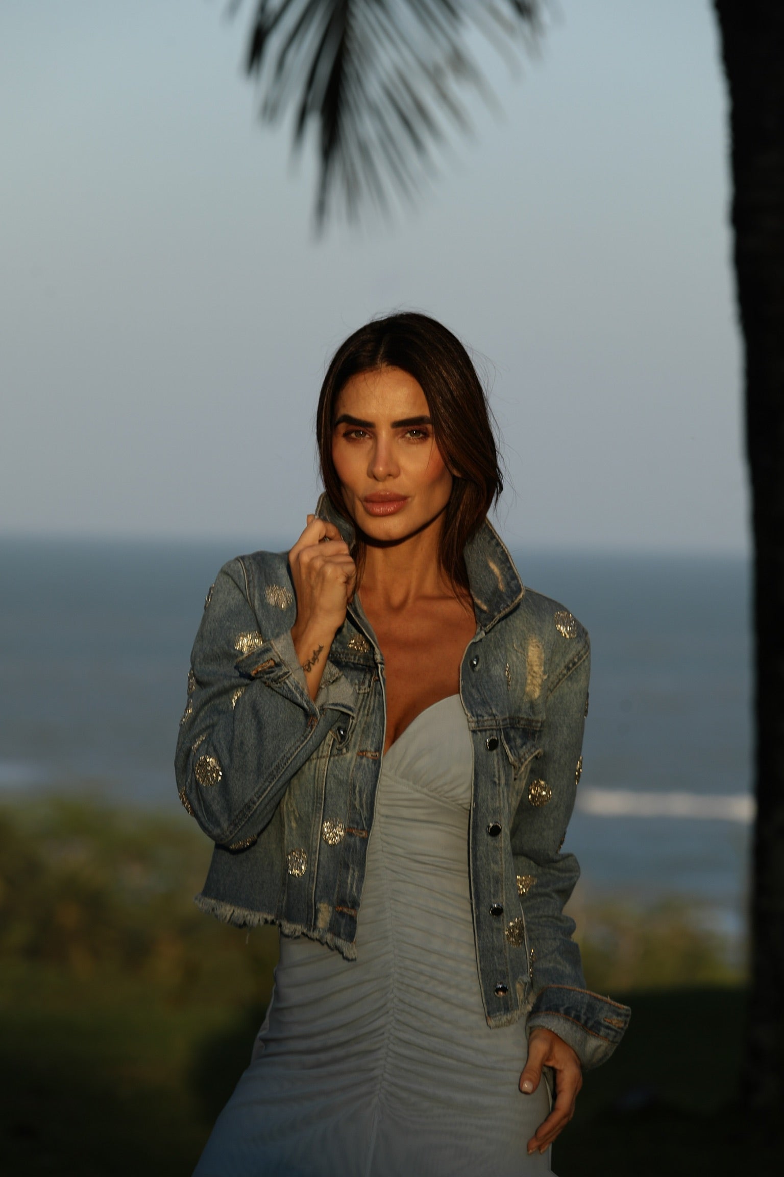 Jaqueta Jeans Bordada Em Mini Poás